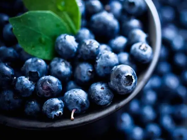Лучшие продукты для здоровья почек