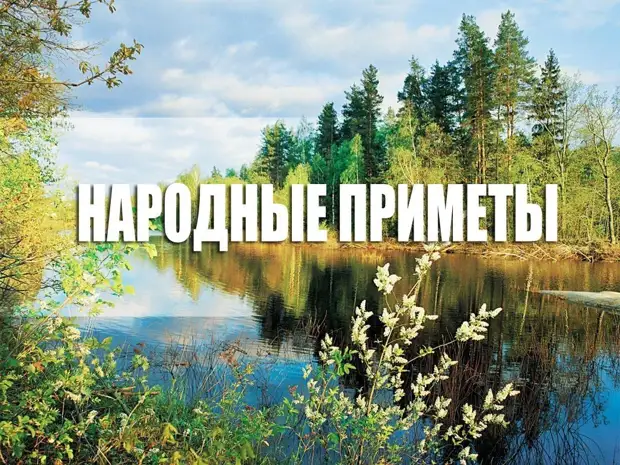 Приметы на весь день при утреннем пробуждении