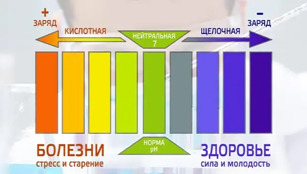 Ощелачивание организма: ТОП-10 натуральных методов