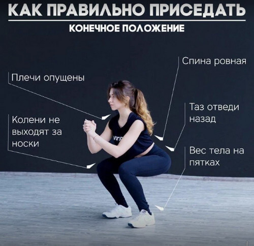 Приседания лечат! Одно из основных упражнений, помогающих сердцу Приседания лечат! Одно из основных упражнений, помогающих сердцу