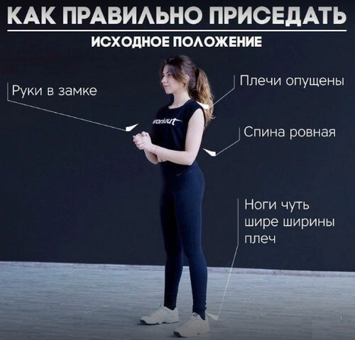 Приседания лечат! Одно из основных упражнений, помогающих сердцу Приседания лечат! Одно из основных упражнений, помогающих сердцу