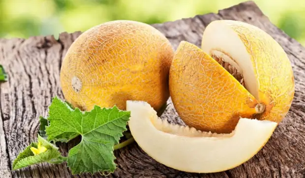 15 лучших щелочных продуктов на Земле. Они спасут от рака, ожирения и сердечных проблем