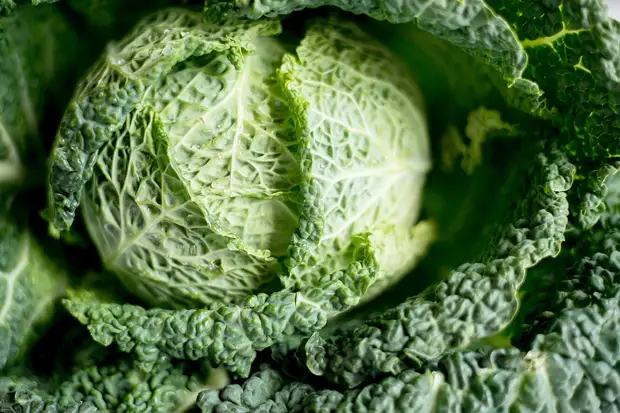 33 лучших продукта, чтобы победить жир на животе