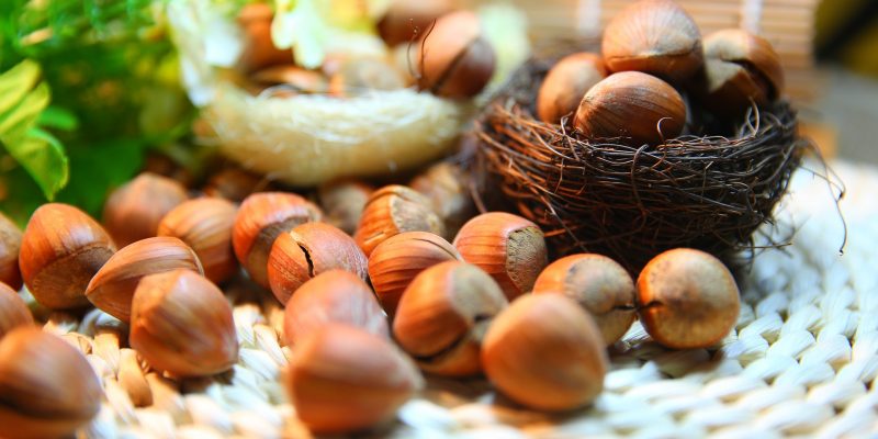 10 продуктов, в которых кальция больше, чем в твороге