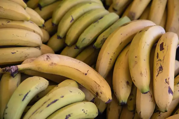 33 лучших продукта, чтобы победить жир на животе