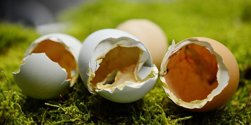 10 продуктов, в которых кальция больше, чем в твороге