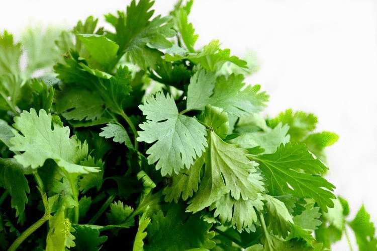 Продукты с высоким уровнем p-H для красоты и здоровья