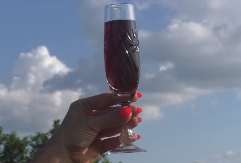 Домашнее вино из черной смородины куда лучше любых магазинных напитков!