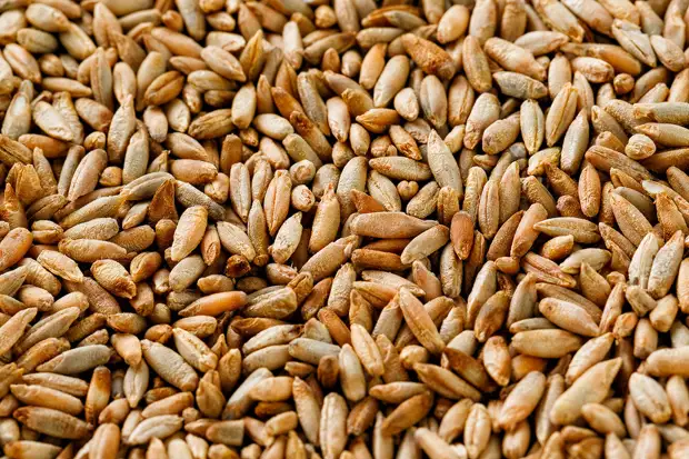 33 лучших продукта, чтобы победить жир на животе