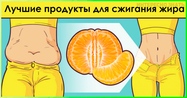 Топ 25 продуктов для сжигания жира у женщин!