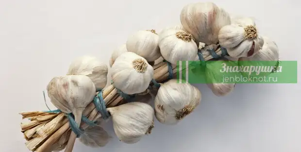 Что нужно есть, чтобы избавиться от паразитов: топ-8 продуктов