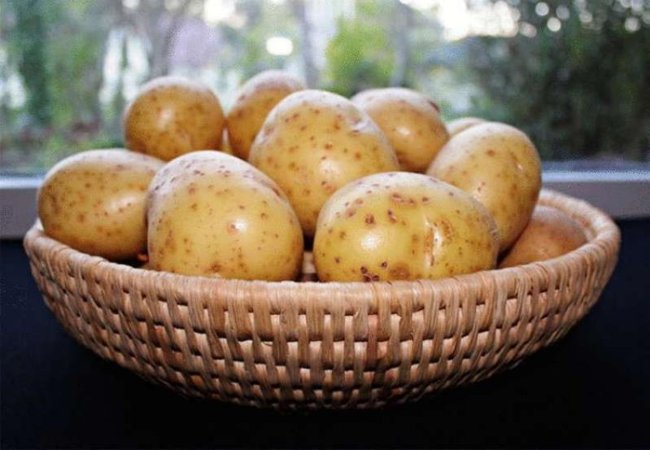 Семь вкуснейших способов приготовить молодой картофель