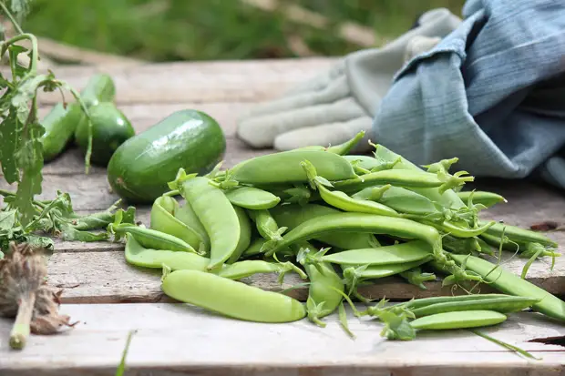 33 лучших продукта, чтобы победить жир на животе