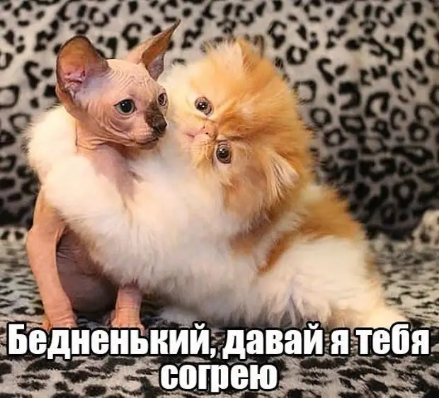 Хочу передать "привет" моей зарплате... Улыбнемся)))