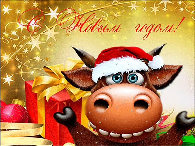 Новый 2021 год