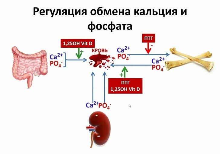 Витамин D
