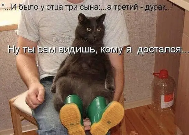 Хочу передать "привет" моей зарплате... Улыбнемся)))