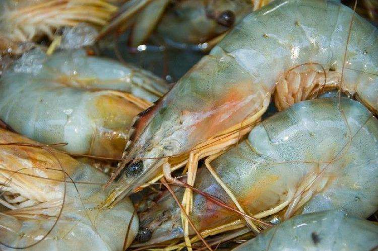 Креветки: какие вкуснее, как выбрать, чем полезен панцирь и другие интересные факты