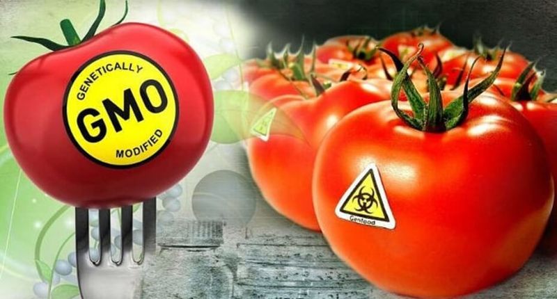 Бактерии и вещества в продуктах питания: Полезные и не очень Бактерии и вещества в продуктах питания: Полезные и не очень