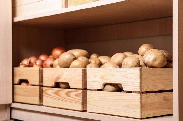 Овощи, мясо и крупы: как сохранить продукты свежими зимой на балконе Овощи, мясо и крупы: как сохранить продукты свежими зимой на балконе