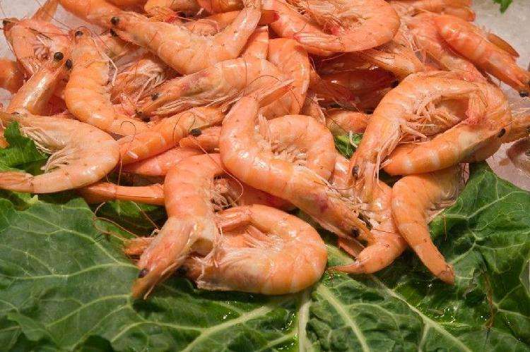 Креветки: какие вкуснее, как выбрать, чем полезен панцирь и другие интересные факты