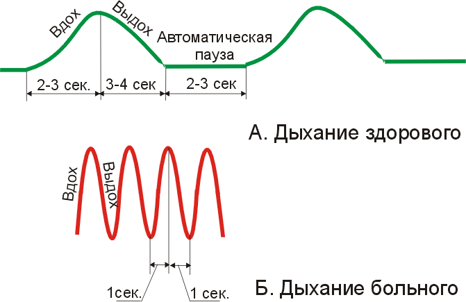Черновик Черновик