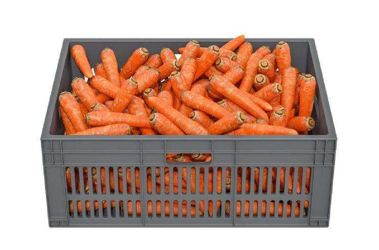 Овощи, мясо и крупы: как сохранить продукты свежими зимой на балконе Овощи, мясо и крупы: как сохранить продукты свежими зимой на балконе