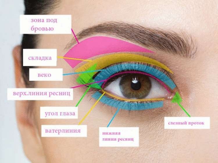 15 хитростей макияжа глаз, которые должна знать каждая девушка 15 хитростей макияжа глаз, которые должна знать каждая девушка