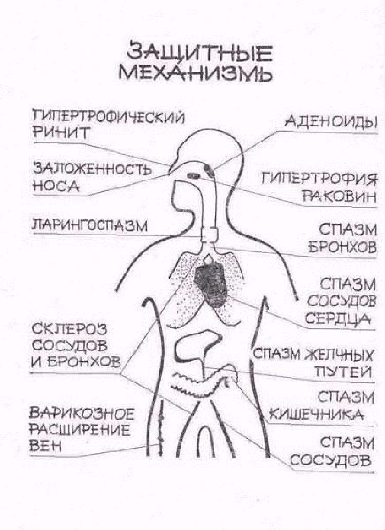 Черновик Черновик