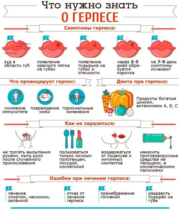 Что нужно знать о герпесе