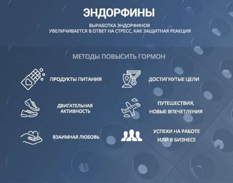 Счастье по науке: как приучить мозг вырабатывать гормоны счастья Счастье по науке: как приучить мозг вырабатывать гормоны счастья