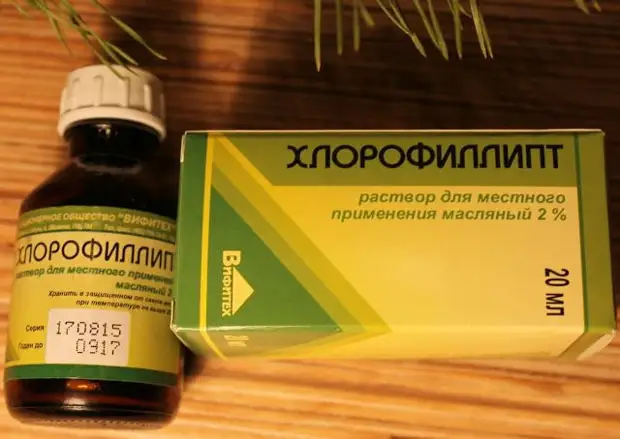 Хлорофиллипт — доступное средство от 15 болезней. Вот самые эффективные рецепты