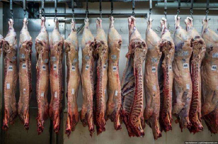 Что будет, если люди перестанут есть мясо
