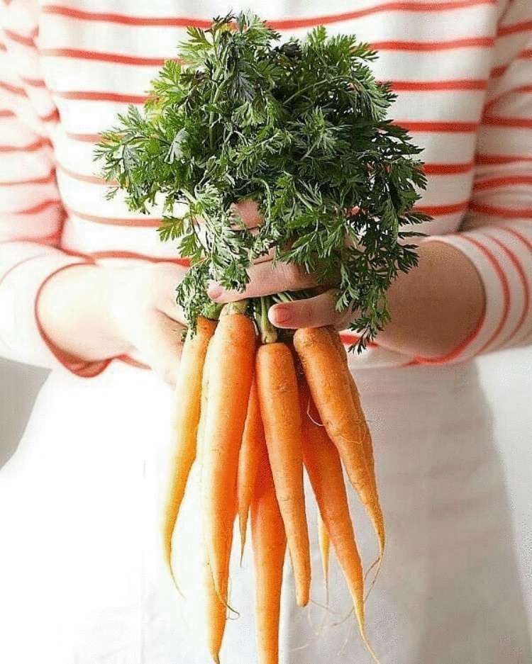 8 «омолаживающих» продуктов, за которые организм и кожа скажут спасибо