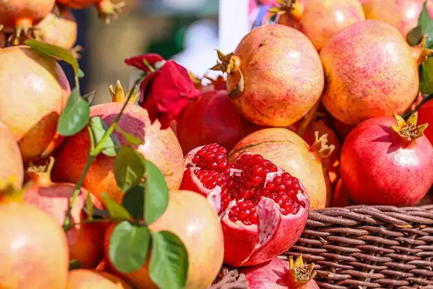 10 омолаживающих продуктов