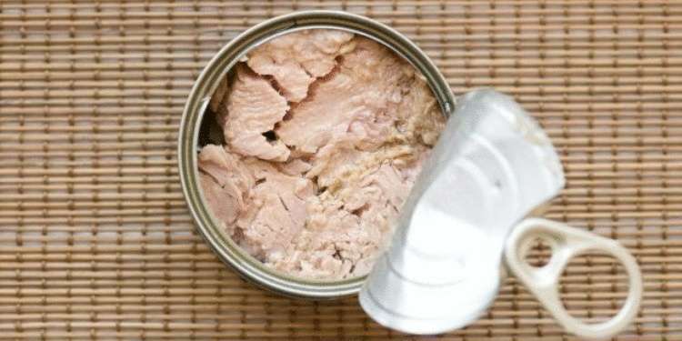 8 продуктов, которые снабдят витамином D лучше солнца 8 продуктов, которые снабдят витамином D лучше солнца