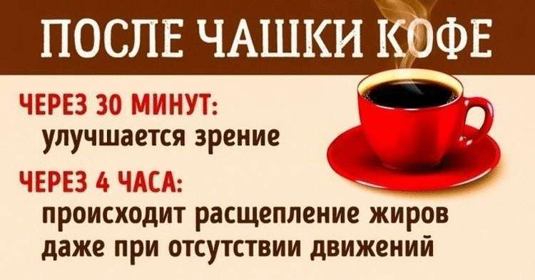 Действие кофеина: что происходит с организмом после чашки кофе Действие кофеина: что происходит с организмом после чашки кофе