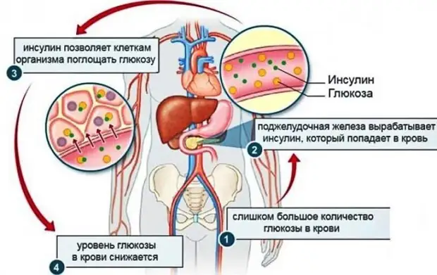 Почему же бывает так сложно сбросить вес