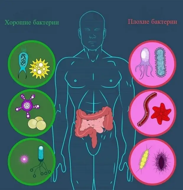 5 мифов о полезной и здоровой пище
