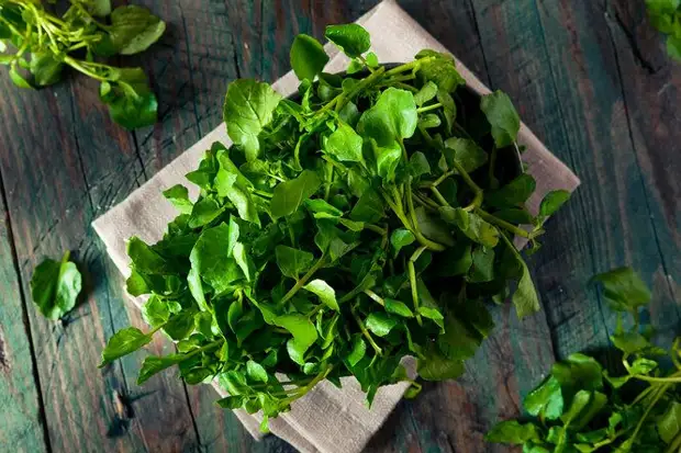 10 омолаживающих продуктов