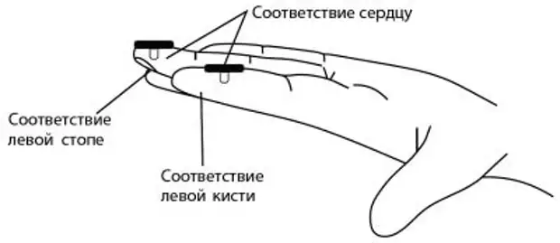Точки, которые спасут от сердечной боли