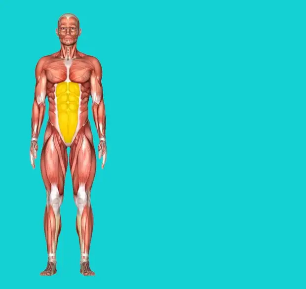 Как обнаружить начинающиеся проблемы со здоровьем