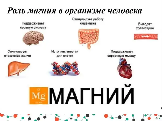 Минерал, который необходим организму для профилактики рака поджелудочной железы