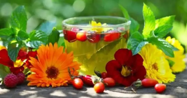 Лечебные чаи из лекарственных растений