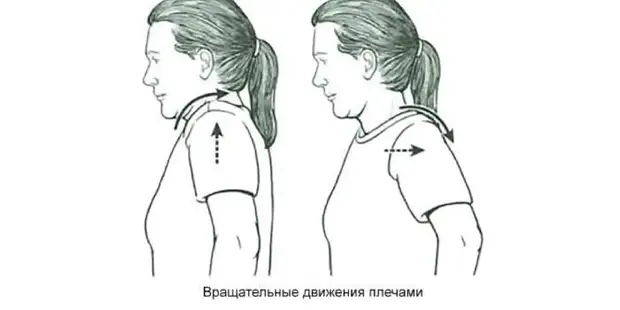 Упражнения для здоровой спины