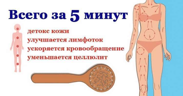 Лучшие советы по очищению лимфатической системы. Уходит слабость, синусит, головные боли и даже лишний вес! Лучшие советы по очищению лимфатической системы. Уходит слабость, синусит, головные боли и даже лишний вес!