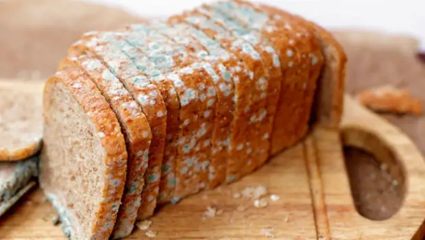 Что произойдёт, если случайно съесть продукт с плесенью