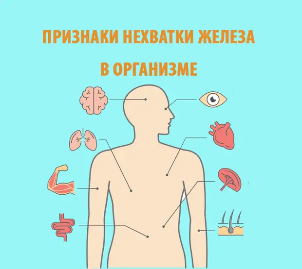 Признаки нехватки железа в организме