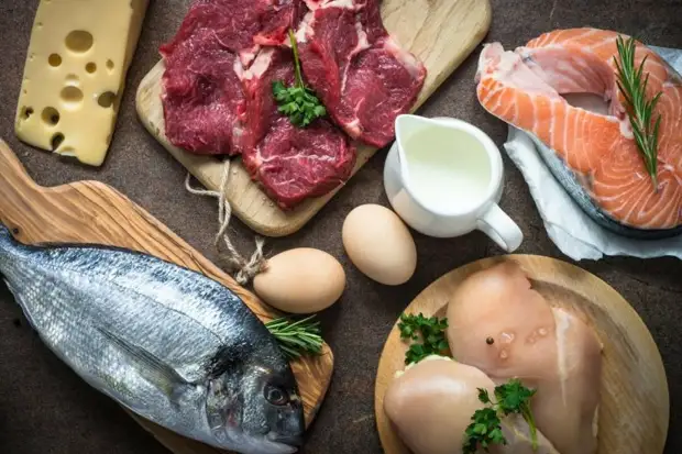 Продукты с самым высоким содержанием белка