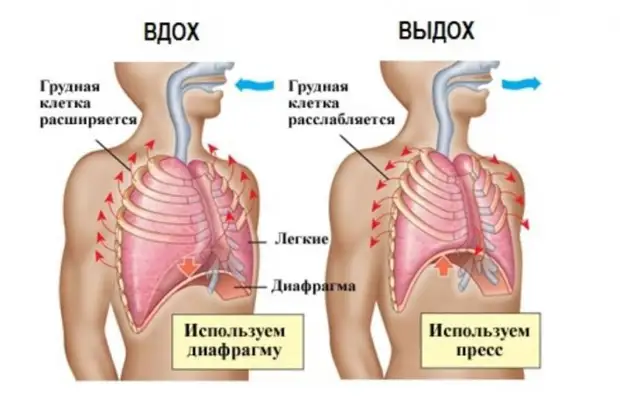 Дыхательные упражнения как профилактика панкреатита